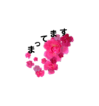 散歩道の花たち（個別スタンプ：16）