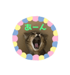 うめたんのあいさつにゃ！2（個別スタンプ：1）