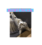 うめたんのあいさつにゃ！2（個別スタンプ：5）