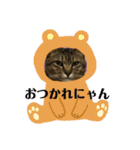 うめたんのあいさつにゃ！2（個別スタンプ：7）