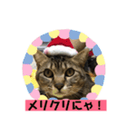うめたんのあいさつにゃ！2（個別スタンプ：9）