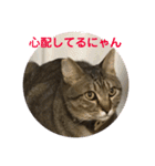 うめたんのあいさつにゃ！2（個別スタンプ：16）