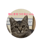 うめたんのあいさつにゃ！2（個別スタンプ：17）