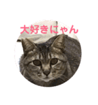 うめたんのあいさつにゃ！2（個別スタンプ：18）