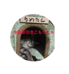 うめたんのあいさつにゃ！2（個別スタンプ：24）