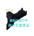 いぬのスタンプだよ2（個別スタンプ：1）