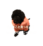 いぬのスタンプだよ2（個別スタンプ：2）