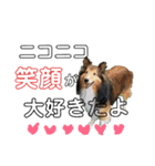 いぬのスタンプだよ2（個別スタンプ：9）