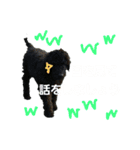いぬのスタンプだよ2（個別スタンプ：16）