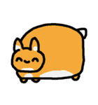 まいにちネコチャン2～新種ネコチャン編～（個別スタンプ：3）