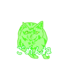 IROIROCATS（個別スタンプ：3）