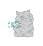 IROIROCATS（個別スタンプ：7）