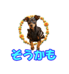 ミニピン、シンプルな相槌、返信用（個別スタンプ：17）