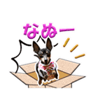 ミニピン、シンプルな相槌、返信用（個別スタンプ：22）