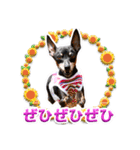 ミニピン、シンプルな相槌、返信用（個別スタンプ：23）