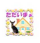 ミニピン、シンプルな相槌、返信用（個別スタンプ：28）
