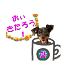 ミニピン、シンプルな相槌、返信用（個別スタンプ：33）