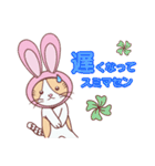 毎日うさねこ♪（日常＆便利）（個別スタンプ：22）