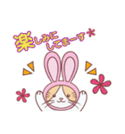 毎日うさねこ♪（日常＆便利）（個別スタンプ：38）