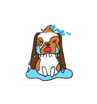 たれみみうさぎのもも パート2（個別スタンプ：29）
