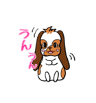 たれみみうさぎのもも パート2（個別スタンプ：40）