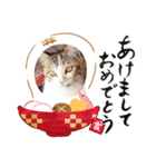 ニャン子ちゃん♡（個別スタンプ：1）