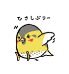 とりおっち2（個別スタンプ：26）