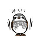 とりおっち2（個別スタンプ：37）