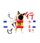 pugスタンプ4（個別スタンプ：1）