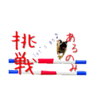 pugスタンプ4（個別スタンプ：8）