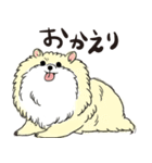 ぽめっこすたんぷ（個別スタンプ：1）