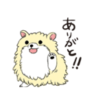 ぽめっこすたんぷ（個別スタンプ：5）
