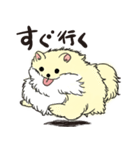 ぽめっこすたんぷ（個別スタンプ：7）