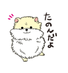 ぽめっこすたんぷ（個別スタンプ：13）