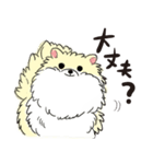 ぽめっこすたんぷ（個別スタンプ：21）