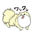 ぽめっこすたんぷ（個別スタンプ：24）