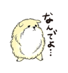 ぽめっこすたんぷ（個別スタンプ：29）