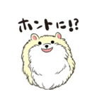 ぽめっこすたんぷ（個別スタンプ：31）