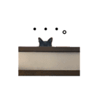 わんことにゃんこ。（個別スタンプ：15）