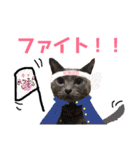 わんことにゃんこ。（個別スタンプ：31）