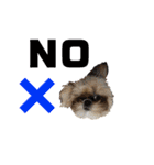 シーズー犬のMOGWAI（個別スタンプ：8）