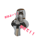 ノルウェージャンのモフちゃんです！！（個別スタンプ：4）