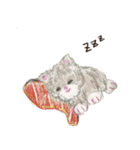パリ育ちのネコデリーゼ（個別スタンプ：37）