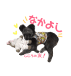 ポポちゃんといっしょ（個別スタンプ：9）