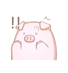 ぶたのとうすけ（個別スタンプ：1）