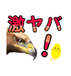 癒しのホワッとしたヒヨ子【デカ文字】（個別スタンプ：40）