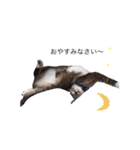 ボビー姉さん（個別スタンプ：3）