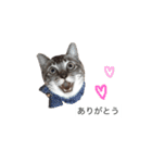 ボビー姉さん（個別スタンプ：7）