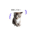 ボビー姉さん（個別スタンプ：10）