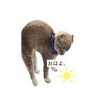 ボビー姉さん（個別スタンプ：14）